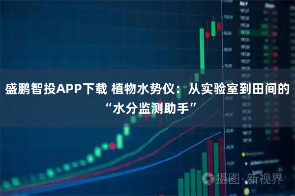盛鹏智投APP下载 植物水势仪：从实验室到田间的 “水分监测助手”