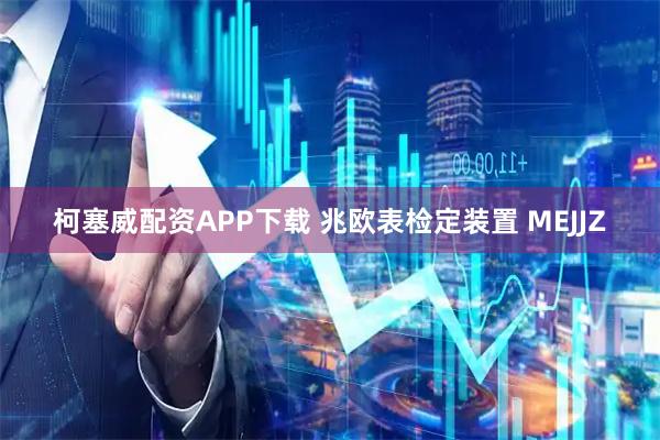 柯塞威配资APP下载 兆欧表检定装置 MEJJZ
