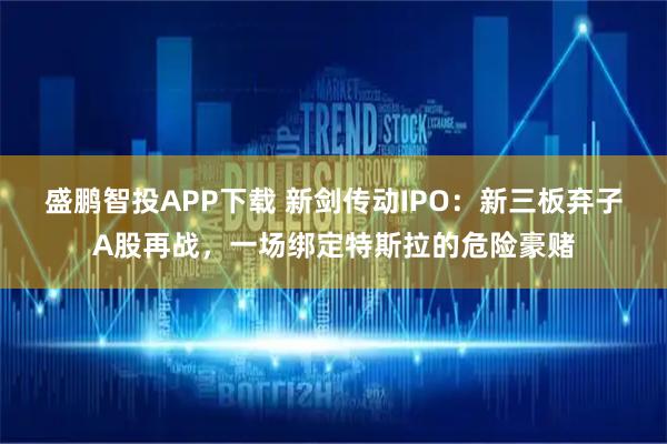 盛鹏智投APP下载 新剑传动IPO：新三板弃子A股再战，一场绑定特斯拉的危险豪赌