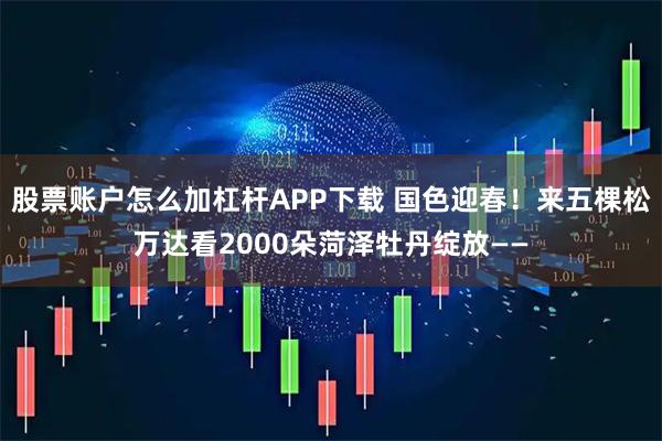 股票账户怎么加杠杆APP下载 国色迎春！来五棵松万达看2000朵菏泽牡丹绽放——