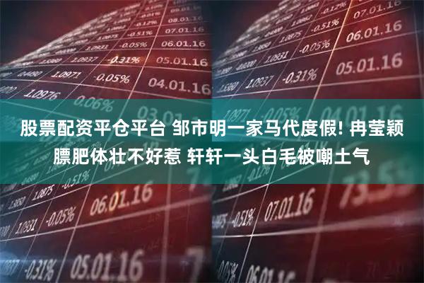 股票配资平仓平台 邹市明一家马代度假! 冉莹颖膘肥体壮不好惹 轩轩一头白毛被嘲土气